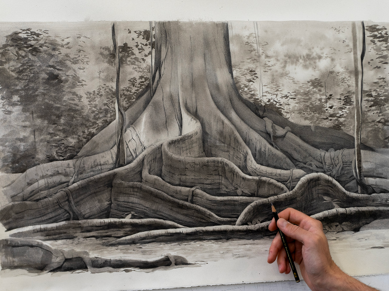 Immagine 4 del portfolio di Thomas Cian