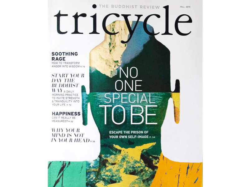 Immagine 1 del portfolio di Roberto La Forgia